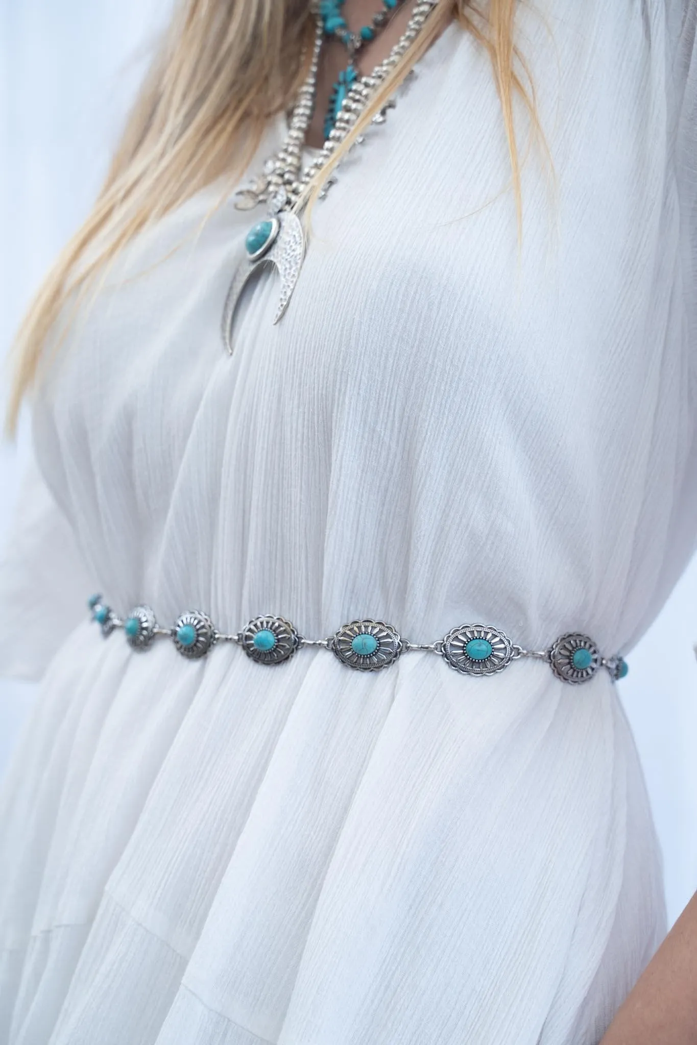 DESERT WANDER BELT